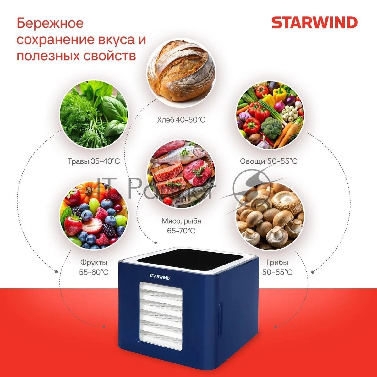 Сушилка для овощей и фруктов StarWind SFD6430, синий, 6 поддонов