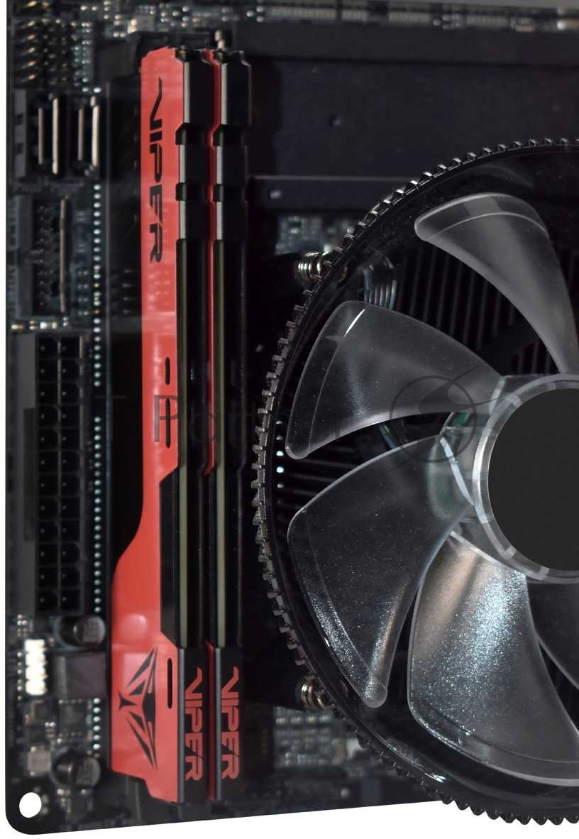 Оперативная память Patriot Viper Elite II, DDR4, 32GB (2x16 GB), 3600 MHz, CL20, DIMM, радиатор, красный, черный