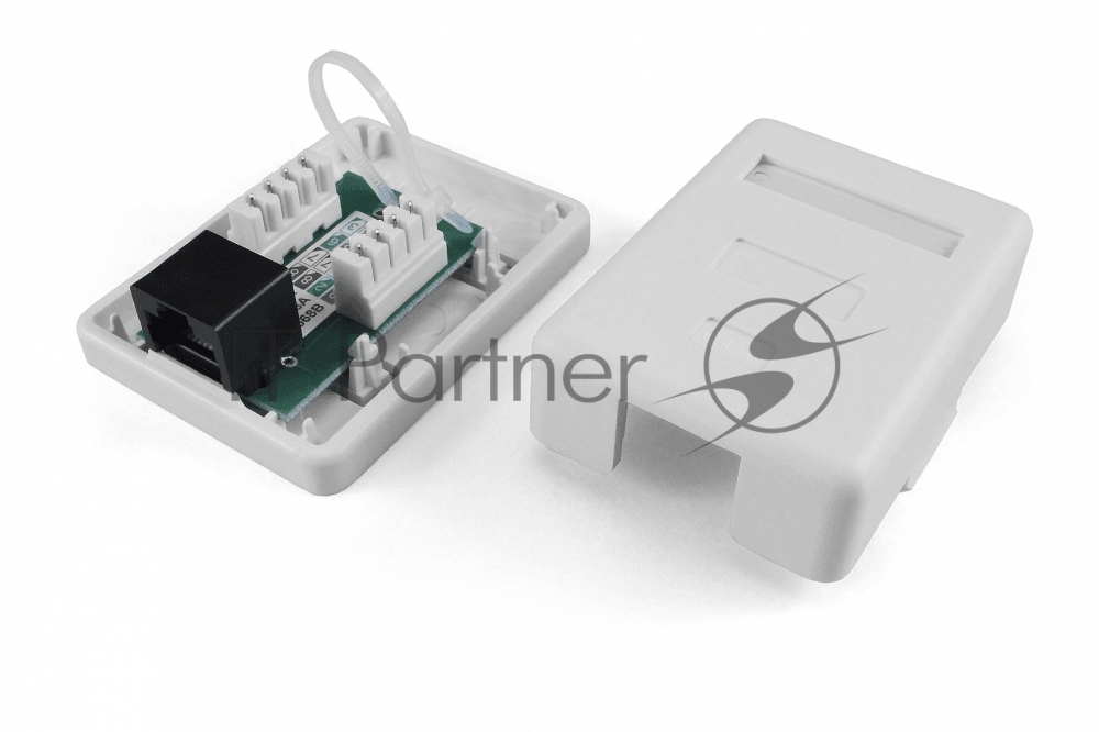 Розетка компьютерная Hyperline SB1-1-8P8C-C5e-WH RJ-45(8P8C), категория 5e, одинарная, внешняя, Dual IDC