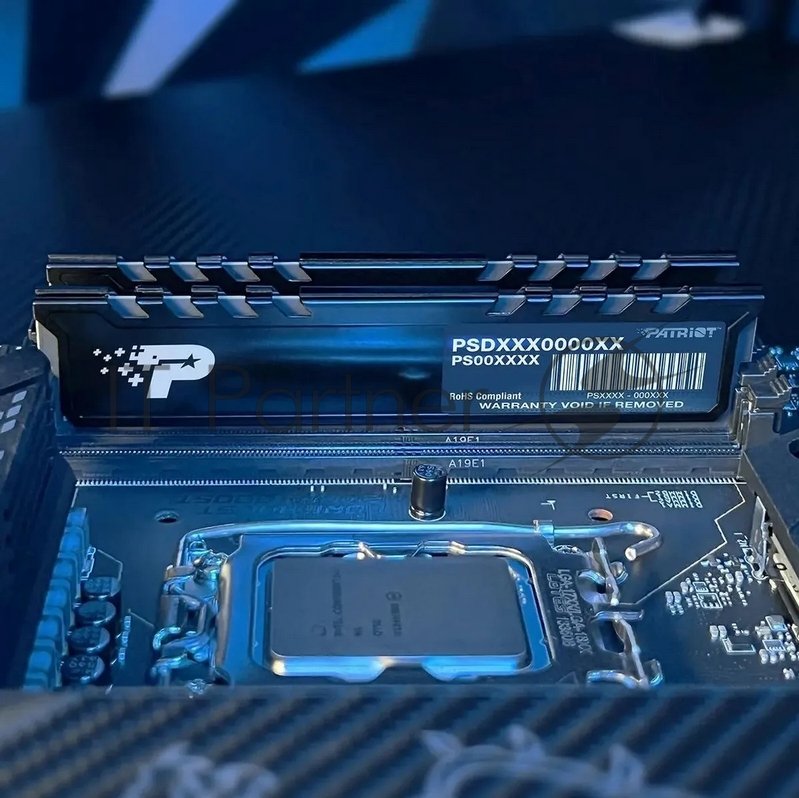 Оперативная память Patriot Signature Premium, DDR5, 32Gb (2x16 Gb), 5600 MHz, CL46, DIMM, радиатор, черный