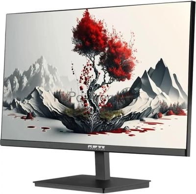 Монитор 23.8" RDW Computers RDW2401K IPS 1920x1080, 120 Гц, 5 мс, 16:9, 300 кд/м², VGA, HDMI 1.4, DP 1.2, 3.5 Jack, динамики (2×2 Вт), черный, в реестре Минпромторга
