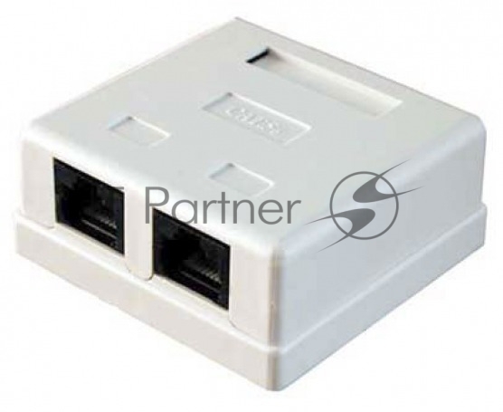 Розетка компьютерная RJ-45 Buro RJ45 468-8k-2 кат.5E двойная крона