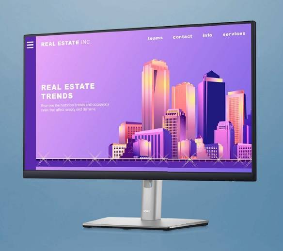 Монитор DELL P2422H 23.8'' 1920x1080, IPS, 178/178, 8мс, 250nit, DP/HDMI/VGA, 5USB, LTSP, 1y, w/o euro cable (BB-DEL1100108)