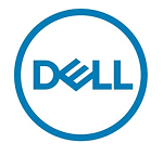Твердотельный накопитель DELL 1.92TB LFF (2.5" in 3.5" carrier) SSD Read Intensive SAS 12Gbps, Hot-plug For ME4/ME5 (analog 400-AXQJ)