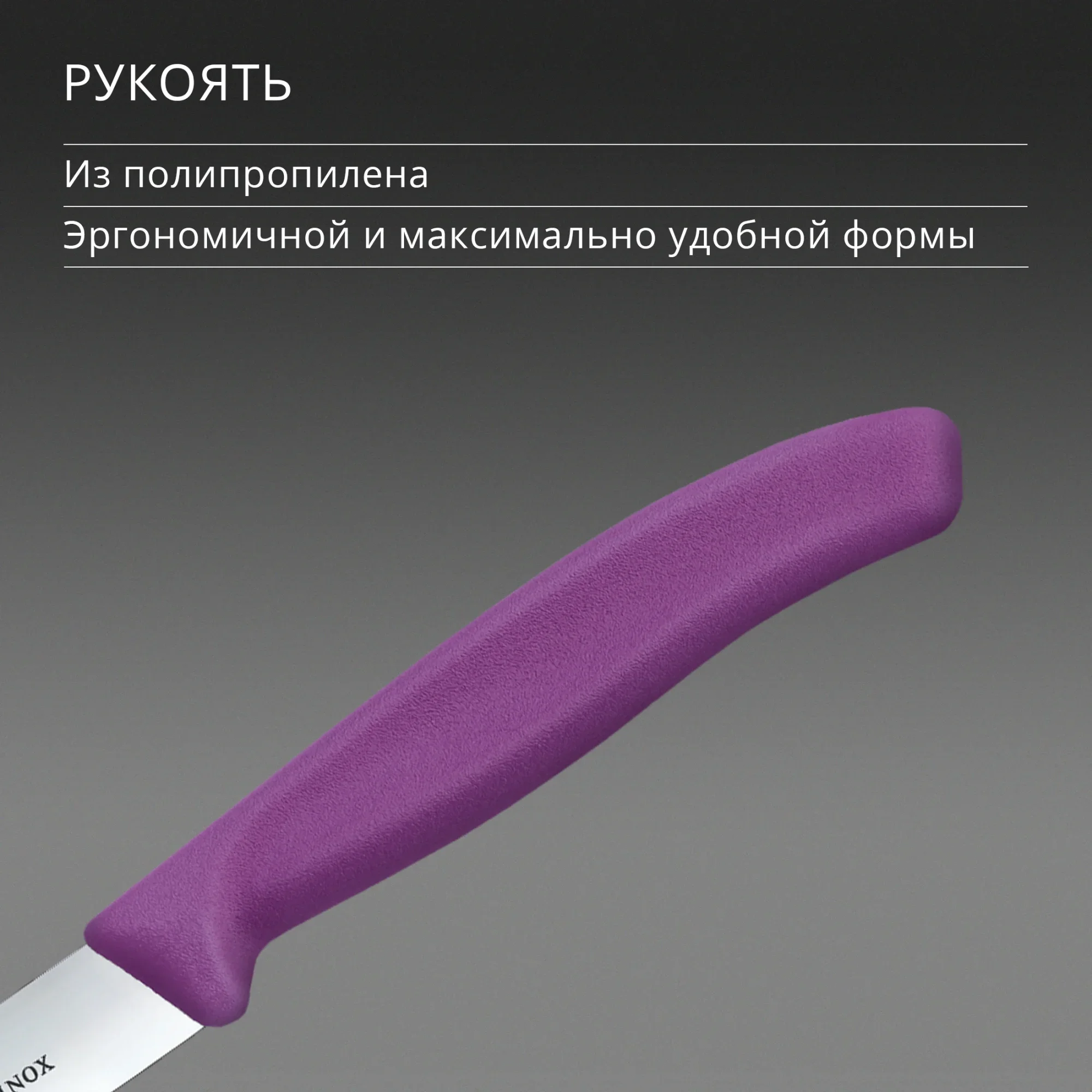 Нож кухонный Victorinox Swiss Classic (6.7705.C1) стальной универсальный для чистки овощей и фруктов лезв.100мм прямая заточка пурпурный