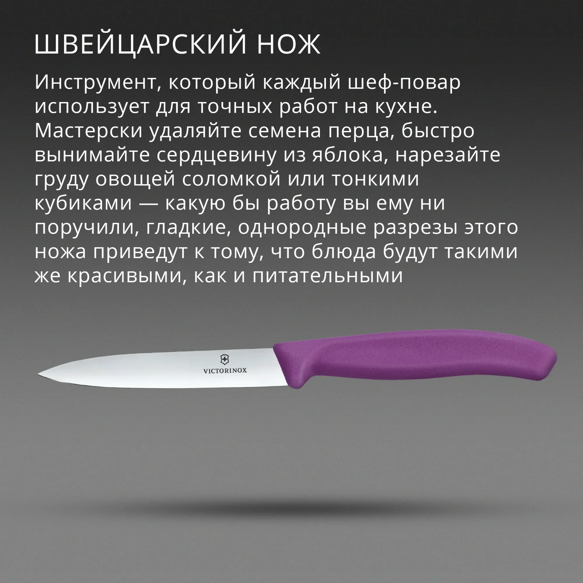 Нож кухонный Victorinox Swiss Classic (6.7705.C1) стальной универсальный для чистки овощей и фруктов лезв.100мм прямая заточка пурпурный