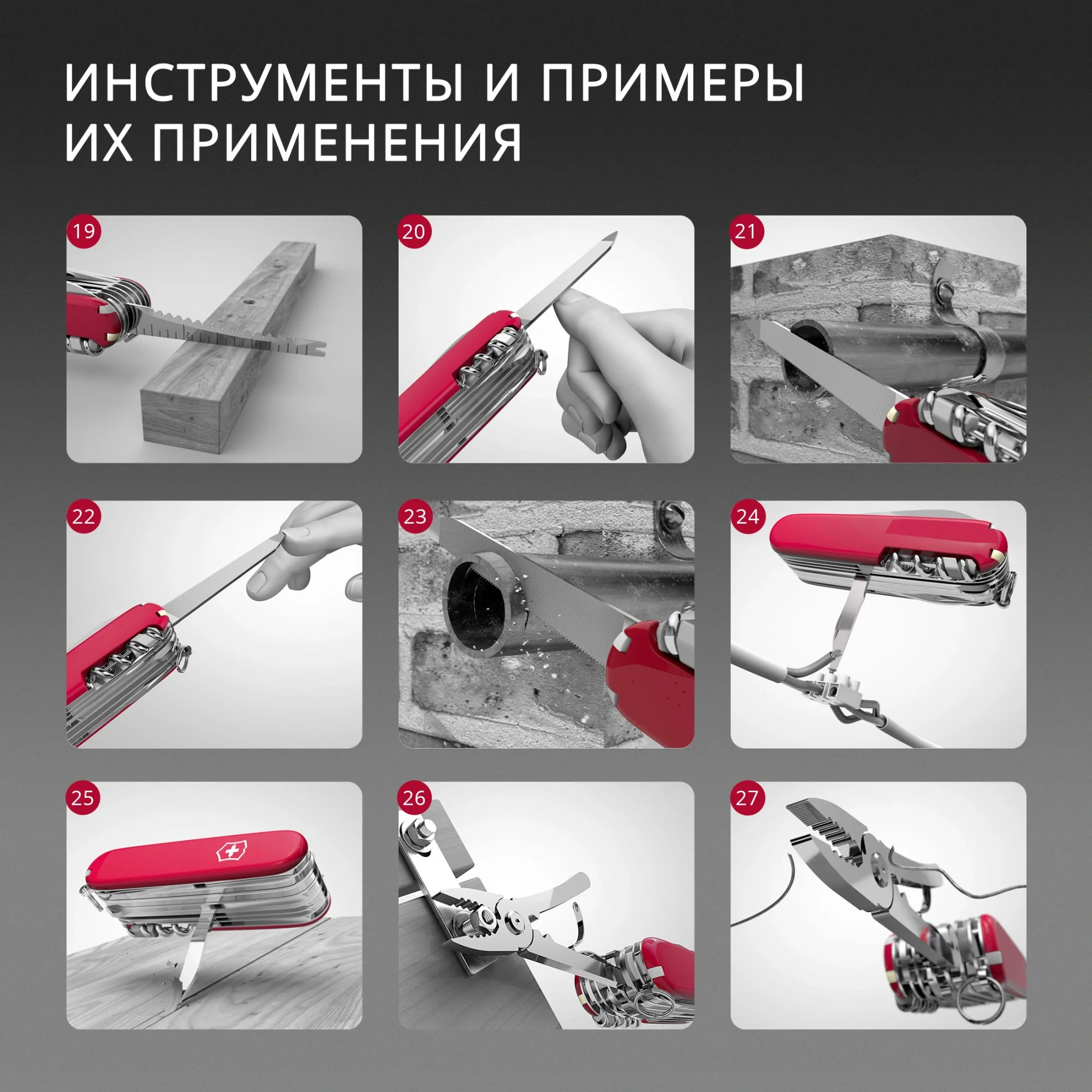 Нож перочинный Victorinox Spartan (1.3603.7) 91мм 12функц. белый карт.коробка