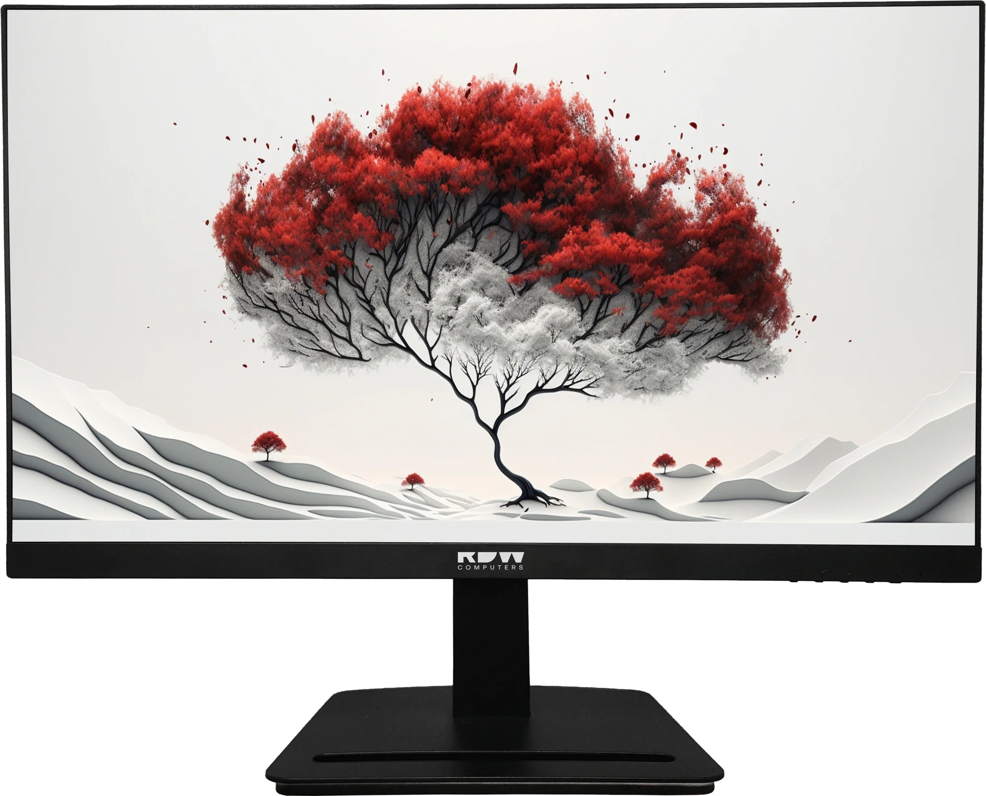 Монитор RDW Computers 2401K/F00B0100V2A1H, 23.8" IPS, 1920x1080, 100 Гц