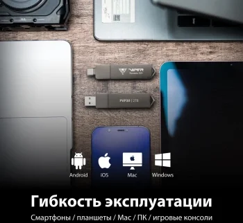 Накопитель SSD Patriot USB3.2 Gen2 512GB PVP30512G28UDG PVP30 Viper черный