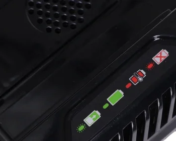 Зарядное устройство Greenworks GC82C (2914707)