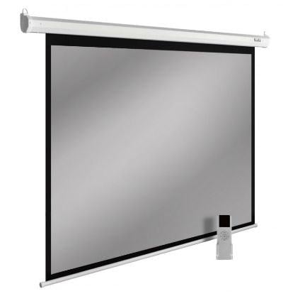 Экран Cactus  SIlverMotoExpert  <CS-PSSME-280X175-DG>