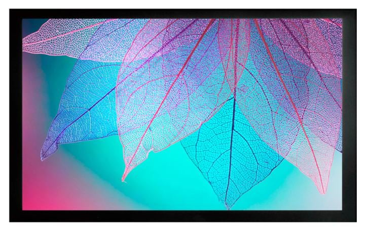 Экран Cactus  124x220см  FrameExpert  CS-PSFRE-220X124 16:9
