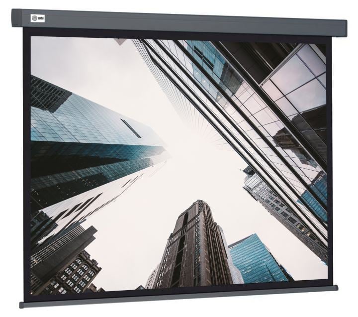 Экран Cactus Wallscreen <CS-PSW-183x244-SG> (120", 4:3,  183x244см, Matte White)