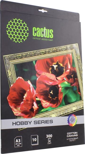 Cactus CS-CA326010 (A3, 10 листов, 300 г/м2) арт бумага,  хлопковый  холст