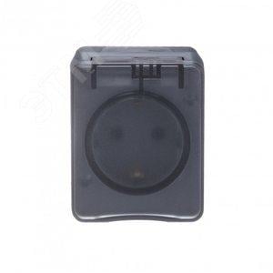 Розетка Systeme Electric ATN544045 AtlasDesign PROFI IP54 O/У с заземлением со  шторками  16А  250B, антрацит