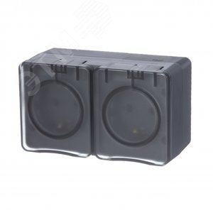 Розетка Systeme Electric ATN544026 AtlasDesign PROFI IP54 O/У двойная с заземлением со шторками  16А 250B, антрацит