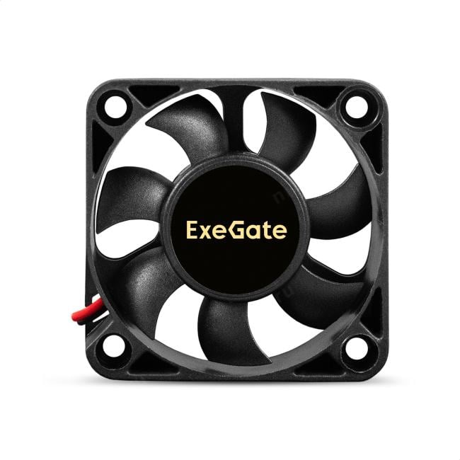 ExeGate <EX295202RUS> EX05010S2P-24  (2пин,  50x50x10мм)