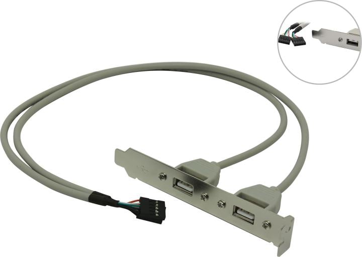 Планка ORIENT C086, 2×USB 2.0, 0.3 м