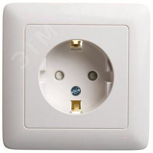 Schneider Electric RS16-136-B ХИТ скрытой установки Розетка с заземлением со  шторками  16А,  250В, белый
