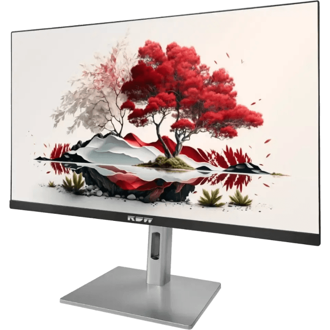 Монитор RDW Computers 27" RDW2707 черный IPS 5ms HDMI M/M HAS Piv 300cd 178гр/178гр 3840x2160 60Hz VGA DP UHD USB (RUS)