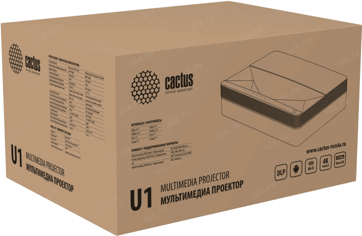 Cactus  <CS-U1.SG>