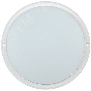 INNOLUX LDPO0-4003-15-4000-K01 Светильник светодиодный ДБП-15w 4000К 1000Лм IP54  круглый пластиковый белый