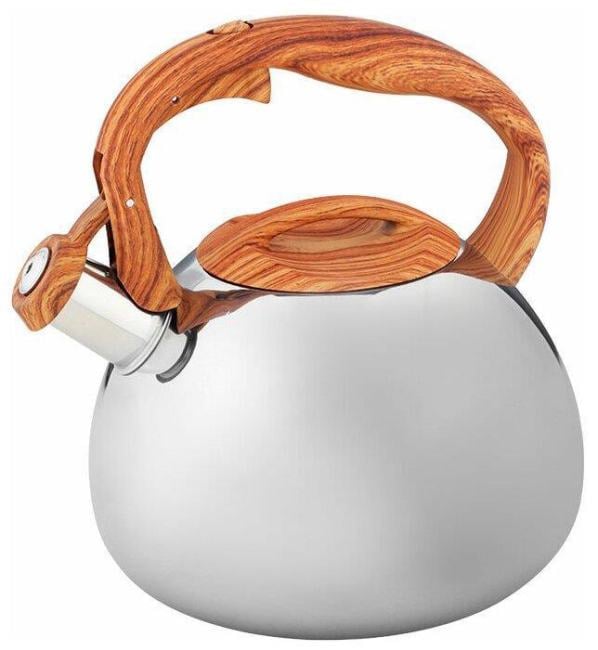 Чайник для плиты ALPENKOK AK-517 3,0 л