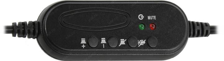 Наушники с микрофоном Accutone UB101 <ZE-UB101> (USB, шнур 2м,  с регулятором громкости)