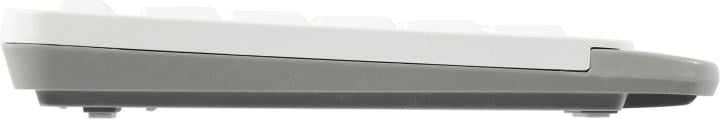 A4Tech Fstyler FG1010S White (Кл-ра, USB, FM+Мышь,4кн, Roll,  USB,  FM)