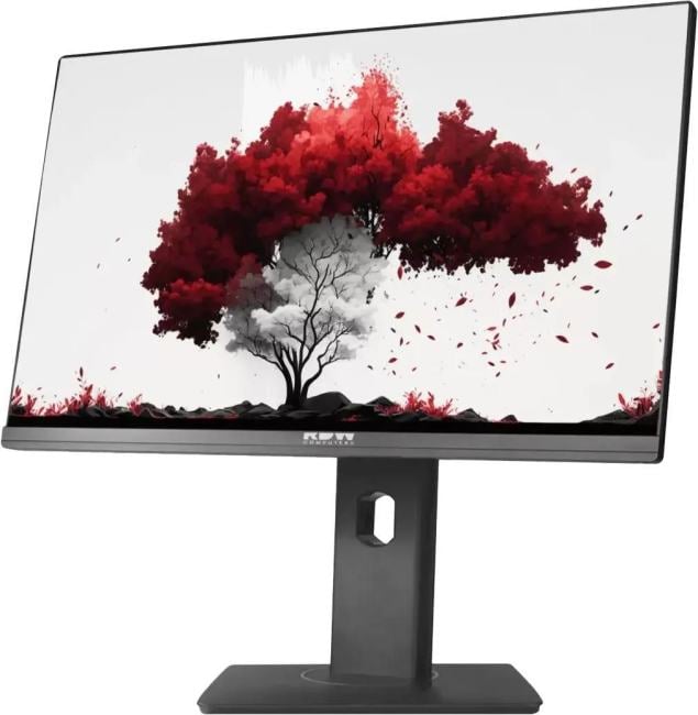 Монитор RDW Computers RDW2402K/F00B3, 23.8" IPS, 1920x1080, 75Гц, веб-камера, HAS