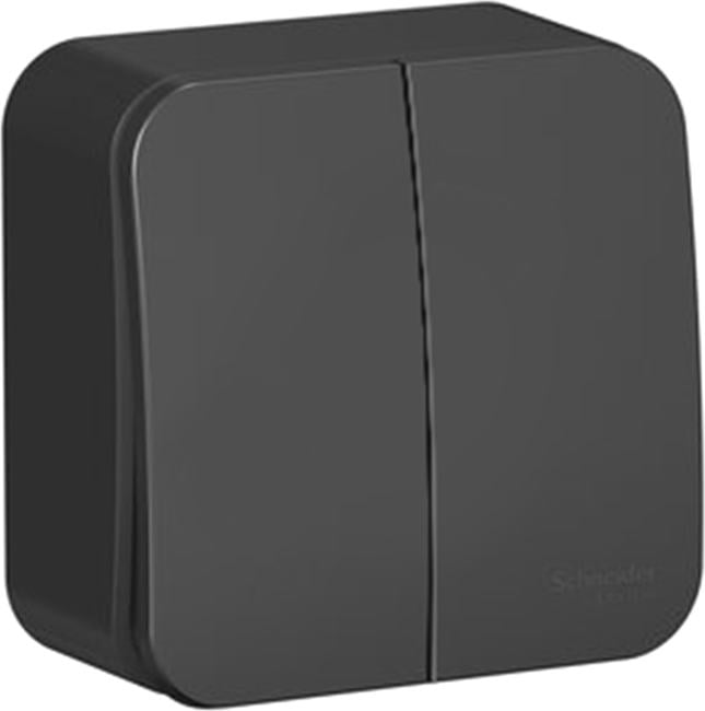 Schneider Electric BLNVA105016 BLANCA О/У 2-клавишный ВЫКЛЮЧАТЕЛЬ (cх.5) ИЗОЛ.ПЛ., 10А,  250B,  АНТРАЦИТ