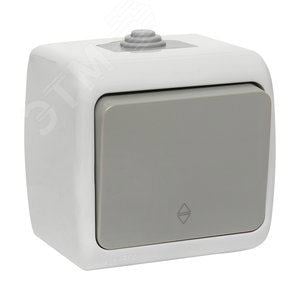 EKF EFV10-025-30-54 Выключатель Мурманск проходной 1-клавишный 10А  IP54 серый (EFV10-025-30-54)