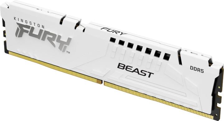 Kingston Fury Beast <KF552C40BW-16> DDR5 DIMM  16Gb <PC5-41600> CL40