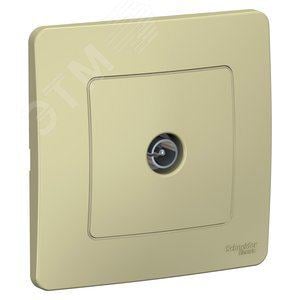 Schneider Electric BLNTS000017 BLANCA  С/У  КОННЕКТОР  ТВ, БЕЖЕВЫЙ