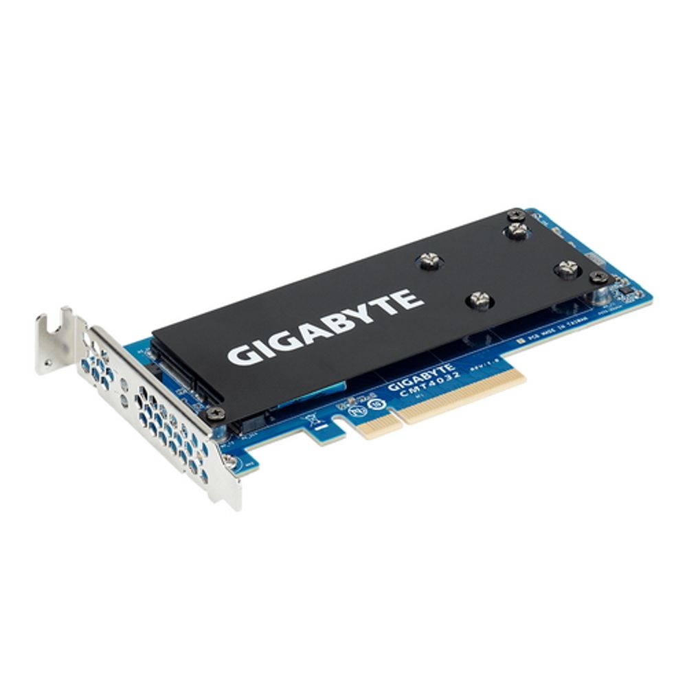 Контроллер Gigabyte CMT4032 Supports up to 2 x PCIe Gen3 x4 M.2 SSD drives, Type 2280/22110 support, LP OEM