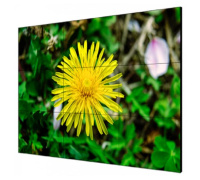 LCD панель DS-D2055LE-G для видеостены, 55", 500кд/м2 шов:1.8 мм