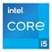 Процессор Intel Core i5-12600K S1700 OEM 3.7G CM8071504555227 S RL4T IN