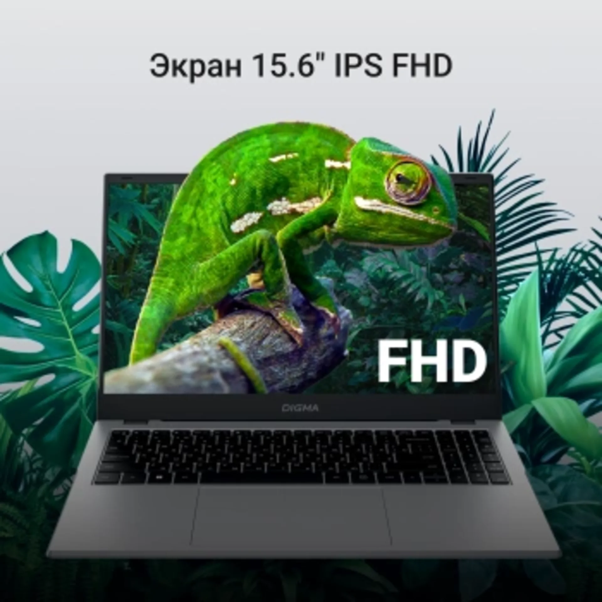 Ноутбук Digma EVE C5802 15.6" N100 8Gb SSD 256Gb Intel UHD Graphics IPS FHD (1920x1080) Windows 11 Professional silver WiFi BT Cam 5900mAh (DN15N1-8CXW01)