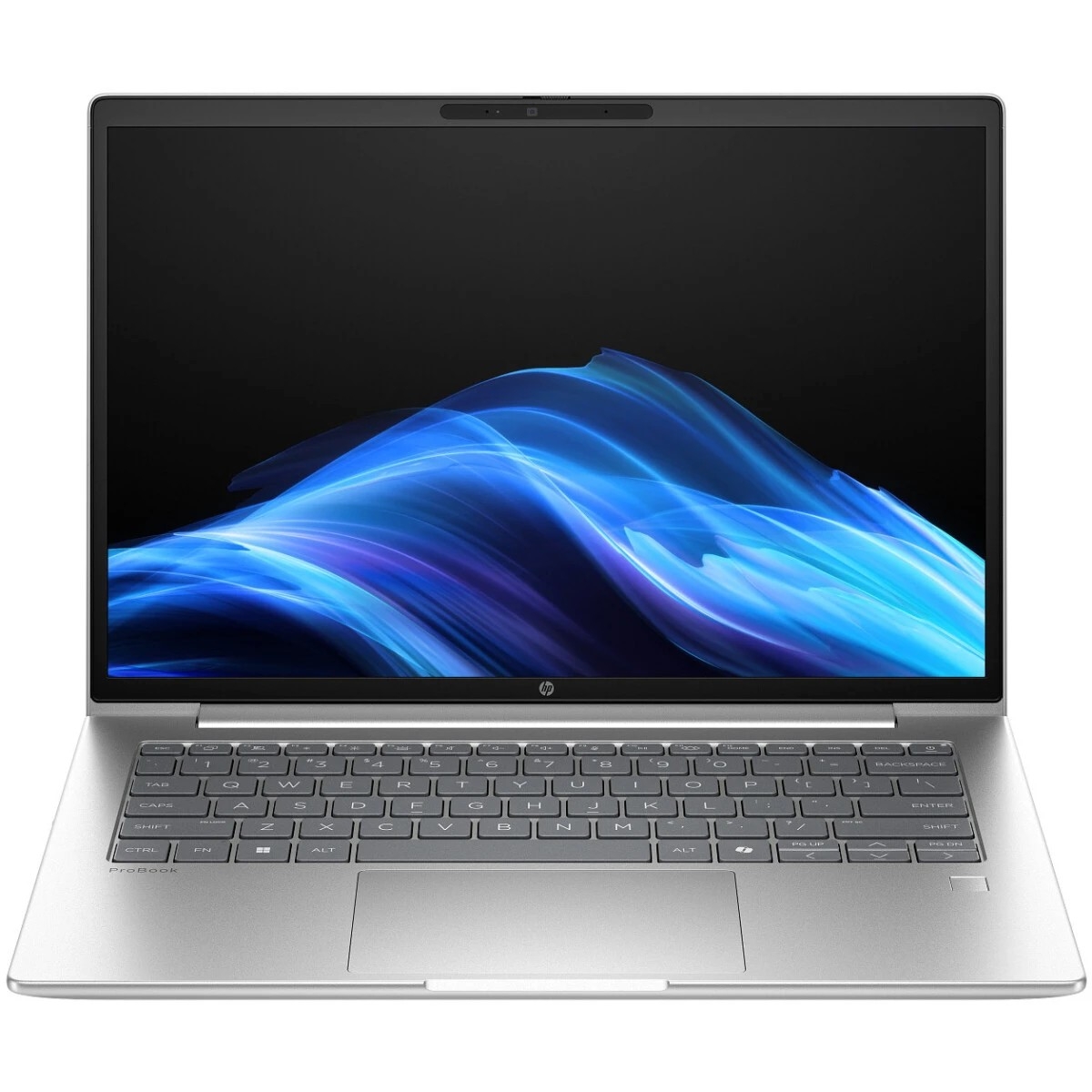 Ноутбук HP ProBook 4 G1i 14, 14" (1920x1200) IPS/Intel Core Ultra 5 225U/16 ГБ DDR5/512 ГБ SSD/Intel Graphics/Без системы, Серебристый (D0VG5ET)