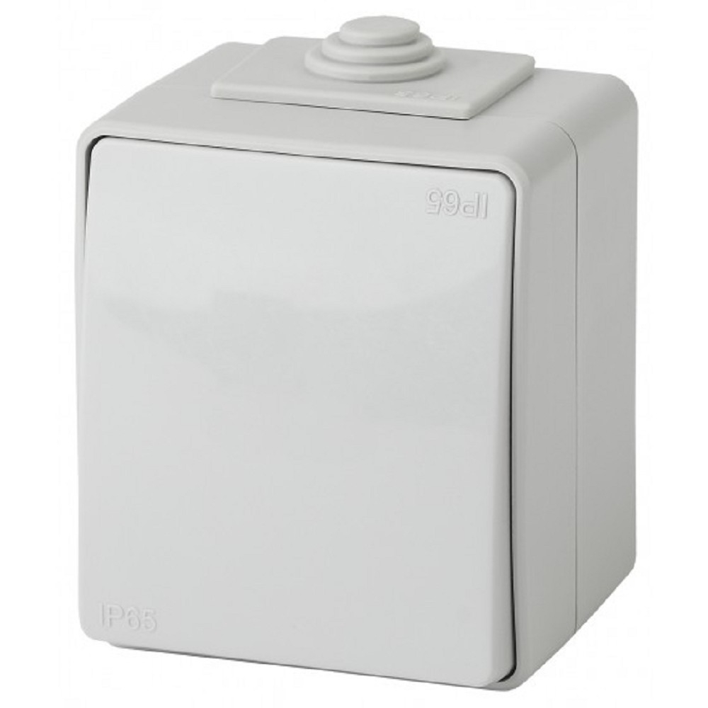 Эра Б0035975 11-1603-03 Переключатель IP65, 10АХ-250В, ОУ, Эра Эксперт, серый